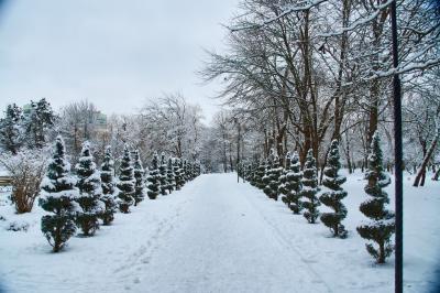 Прикрепленное изображение: Image00001.jpg